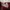 Red Bunny Rabbit Long Sleeved Lolita Kawaii Cosplay Dress photo 7