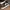 Air Jordan 1 Mid Air Away photo 5