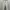 Burberry Blue Label Selvedge Denim Pants