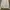 Guess  photo 2