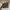 The North Face  Hyvent 2,5L Gorpcore Pocketable photo 9