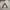The North Face  Hyvent 2,5L Gorpcore Pocketable photo 1