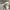 Vogue | crop top abstrack cute lilit pinggang photo 2