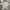 Vogue | crop top abstrack cute lilit pinggang photo 1
