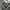 dress sleeveless flower abstract pattern black photo 2
