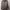 Kamiidea L photo 1