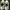 Sepatu Golf Pria Adidas Tour360
22 Men's Golf Shoes