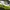 Sepatu Golf Pria Adidas Tour360
22 Men's Golf Shoes photo 3