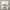Streetwear Skater T-shirt Pria navy gray photo 3