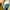 Casual T-shirt Pria yellow photo 4