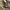Adidas yeezy anak photo 3