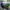 Luxury Casual Polo shirt Pria purple white green tan black cream blue photo 1