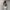 WHO AU California Knit Sweater Brown Christmas Vintage Look 