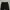 Uniform Bridge Black Fatigue Pants photo 3