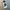 NOBLE EXTRAIT BY HINT