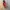 HEIRESS OF MINAHASA by Project 1945 photo 1