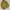 SLAONE JUMPER JUNGLE JACKET photo 3