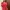 Red Dress Vintage  photo 2