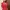 Red Dress Vintage 