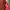 Red Dress Vintage  photo 6