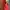 Red Dress Vintage 