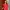 Red Dress Vintage  photo 4