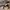 AIR JORDAN 1 RETRO HIGH SB DEFIANT LAKERS TO CHICAGO photo 1