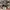 AIR JORDAN 1 RETRO HIGH SB DEFIANT LAKERS TO CHICAGO photo 3