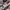 AIR JORDAN 1 RETRO HIGH SB DEFIANT LAKERS TO CHICAGO photo 6