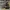 AIR JORDAN RETRO 5 OFF WHITE SP SAIL MUSLIN photo 1