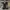 AIR JORDAN RETRO 5 OFF WHITE SP SAIL MUSLIN photo 5