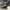 AIR JORDAN RETRO 5 OFF WHITE SP SAIL MUSLIN photo 7