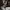 AIR JORDAN RETRO 5 OFF WHITE SP SAIL MUSLIN photo 10