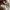 : pum pum tech photo 6