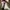 : pum pum tech photo 5