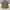 Parka Jacket Vans photo 2