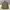 Parka Jacket Vans