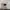 Nike Vintage Sportswear Jersey Pria white photo 3