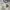 Nike Vintage Sportswear Jersey Pria white photo 2