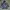 HOODEI DISNEY RESORT photo 1
