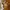 Eevee Pokemon Bagcharm Keychain Ganci Boneka Plush Blindbox