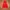 Juicy Couture Velvet Red Zip hoodie photo 2