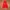 Juicy Couture Velvet Red Zip Hoodie