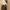 Louis Vuitton Odeon bag MM shoulder bag  photo 4
