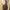 Louis Vuitton Odeon bag MM shoulder bag  photo 5