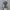 Vintage Y2K Skirt Wanita gray photo 3