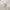 Fendi Vintage White Jeans Made in Italy – Premium High Waist photo 4
