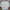 Covernat Casual Sweatshirt Pria cream photo 1