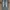 Gap Flared Cutbray Bootcut Jeans Pants