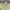 Trussardi Casual Polo shirt Pria yellow photo 2